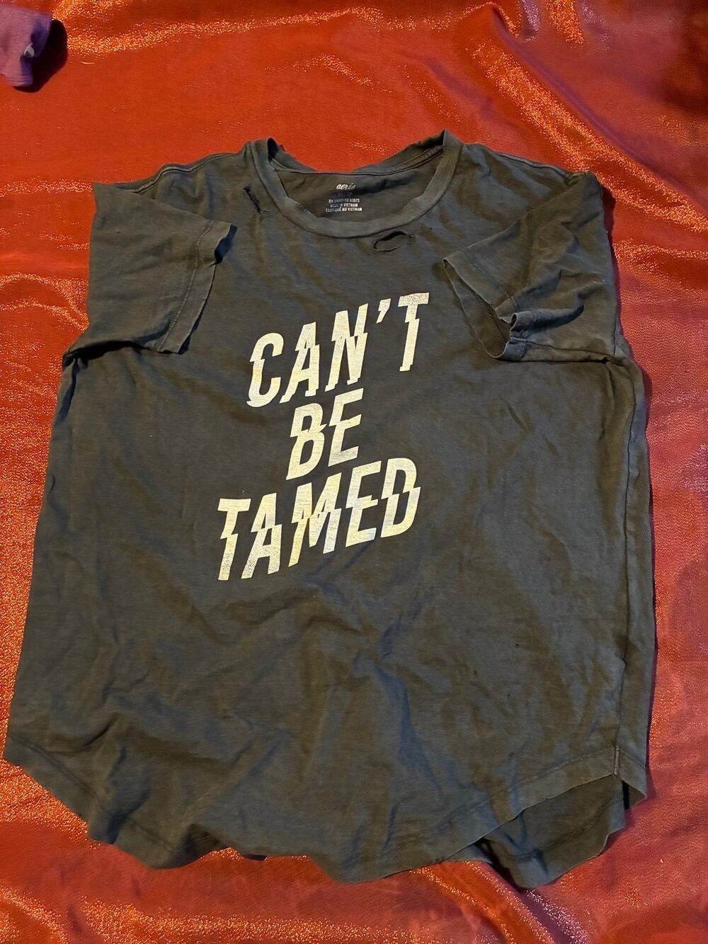 Aerie T-Shirt Womens XS Cant Be Tamed Graphic Distressed Holes Black Washed